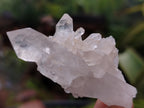 Natural Quartz Clusters x 35 From Mpika, Zambia - Toprock Gemstones and Minerals 