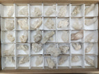 Natural Quartz Clusters x 35 From Mpika, Zambia - Toprock Gemstones and Minerals 