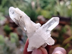 Natural Quartz Clusters x 35 From Mpika, Zambia - Toprock Gemstones and Minerals 