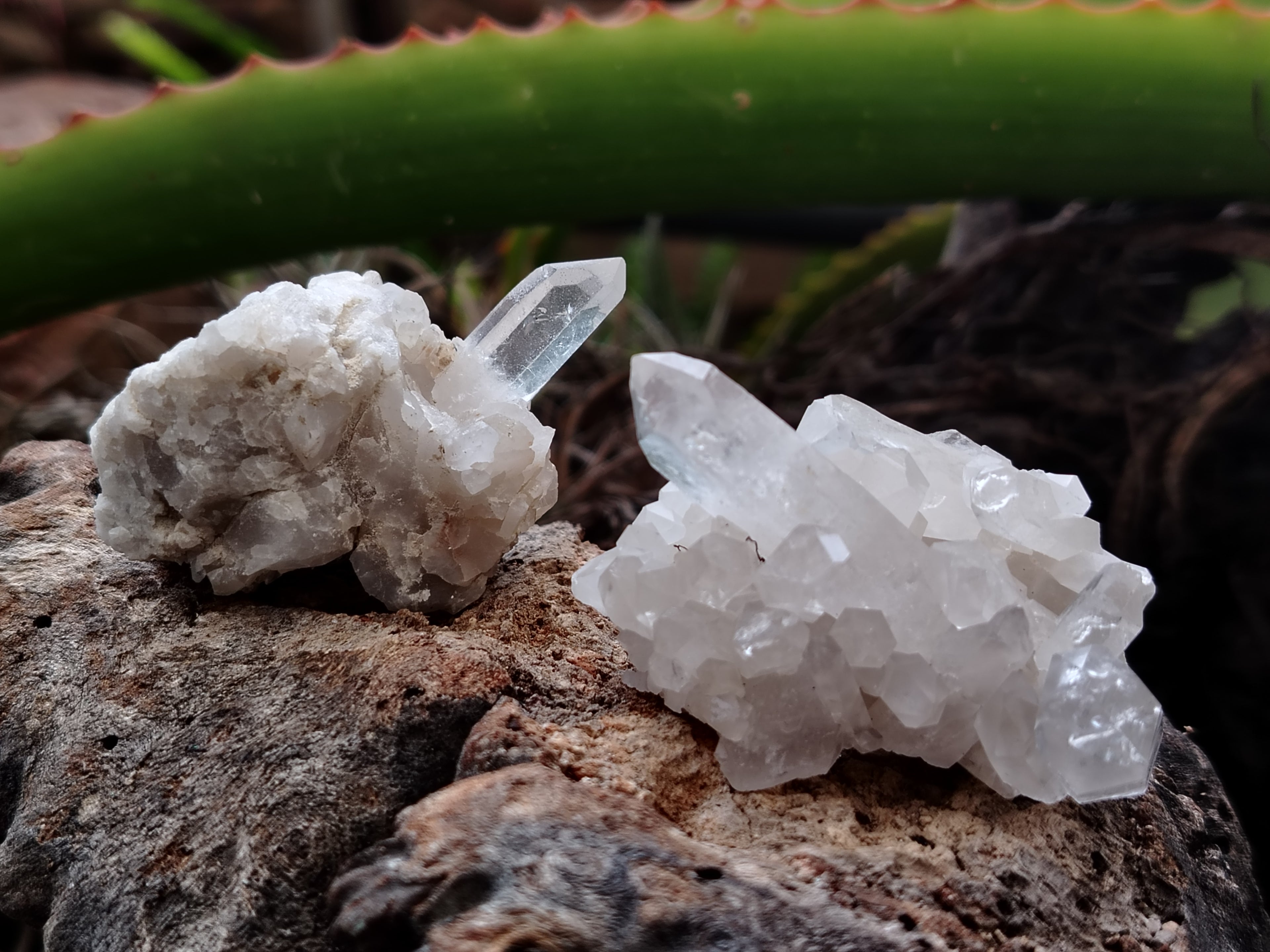Natural Quartz Clusters x 35 From Mpika, Zambia - Toprock Gemstones and Minerals 