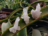 Natural Quartz Clusters x 35 From Mpika, Zambia - Toprock Gemstones and Minerals 