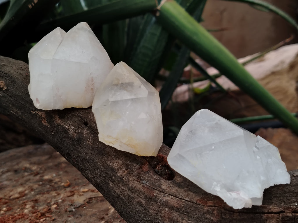 Natural Quartz Crystals x 12 From Madagascar - Toprock Gemstones and Minerals 