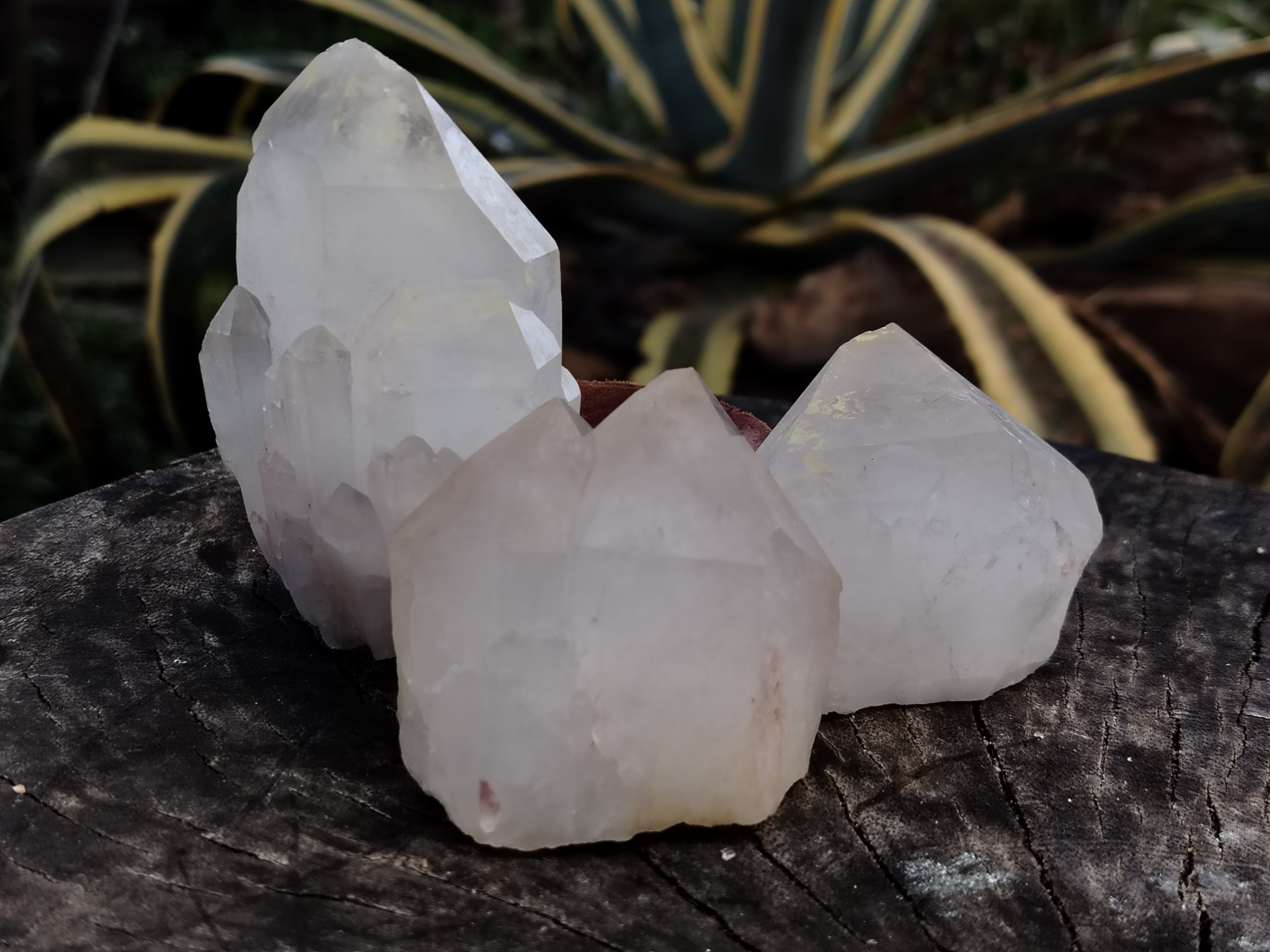 Natural Quartz Crystals x 12 From Madagascar - Toprock Gemstones and Minerals 