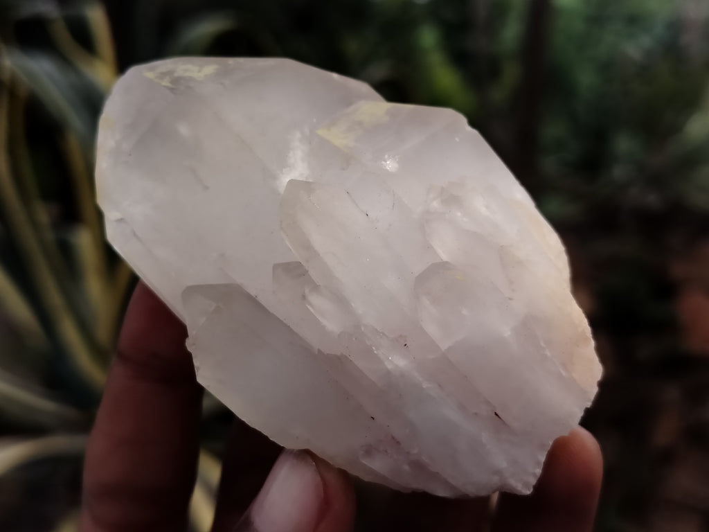 Natural Quartz Crystals x 12 From Madagascar - Toprock Gemstones and Minerals 