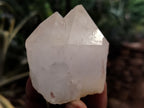 Natural Quartz Crystals x 12 From Madagascar - Toprock Gemstones and Minerals 