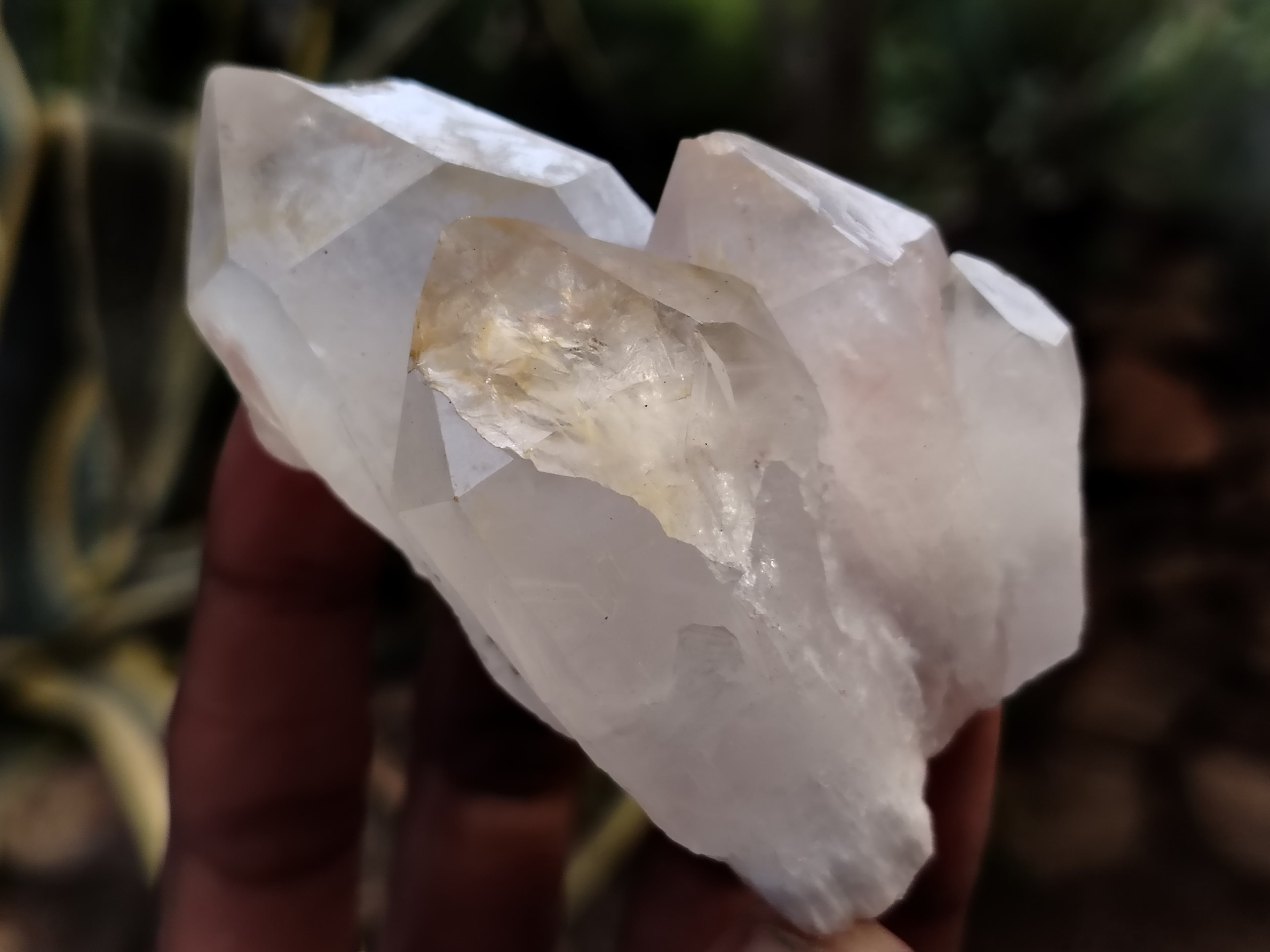 Natural Quartz Crystals x 12 From Madagascar - Toprock Gemstones and Minerals 