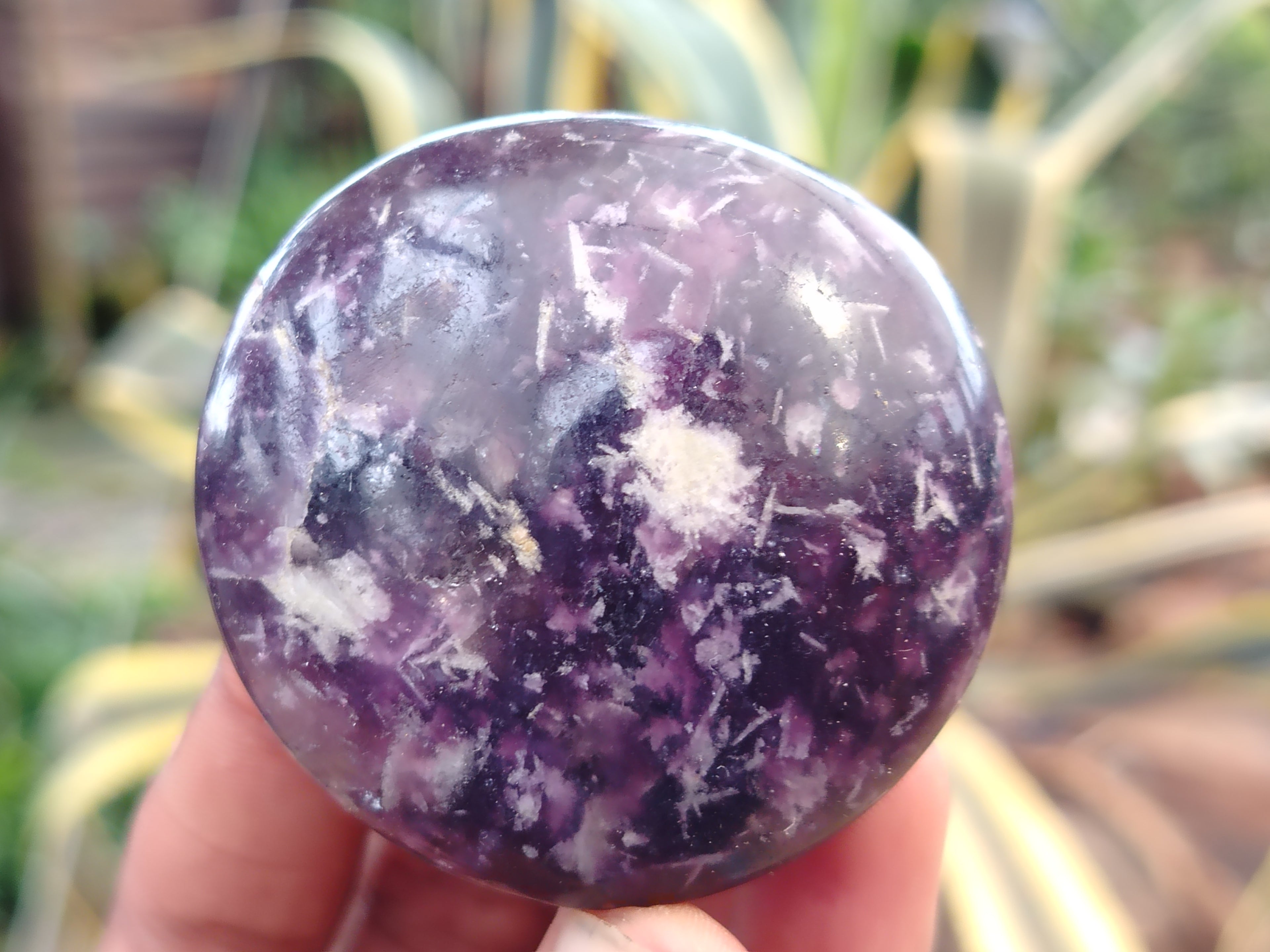 Polished Lepidolite with Pink Rubellite Palm Stones x 24 From Ambatondrazaka, Madagascar - Toprock Gemstones and Minerals 