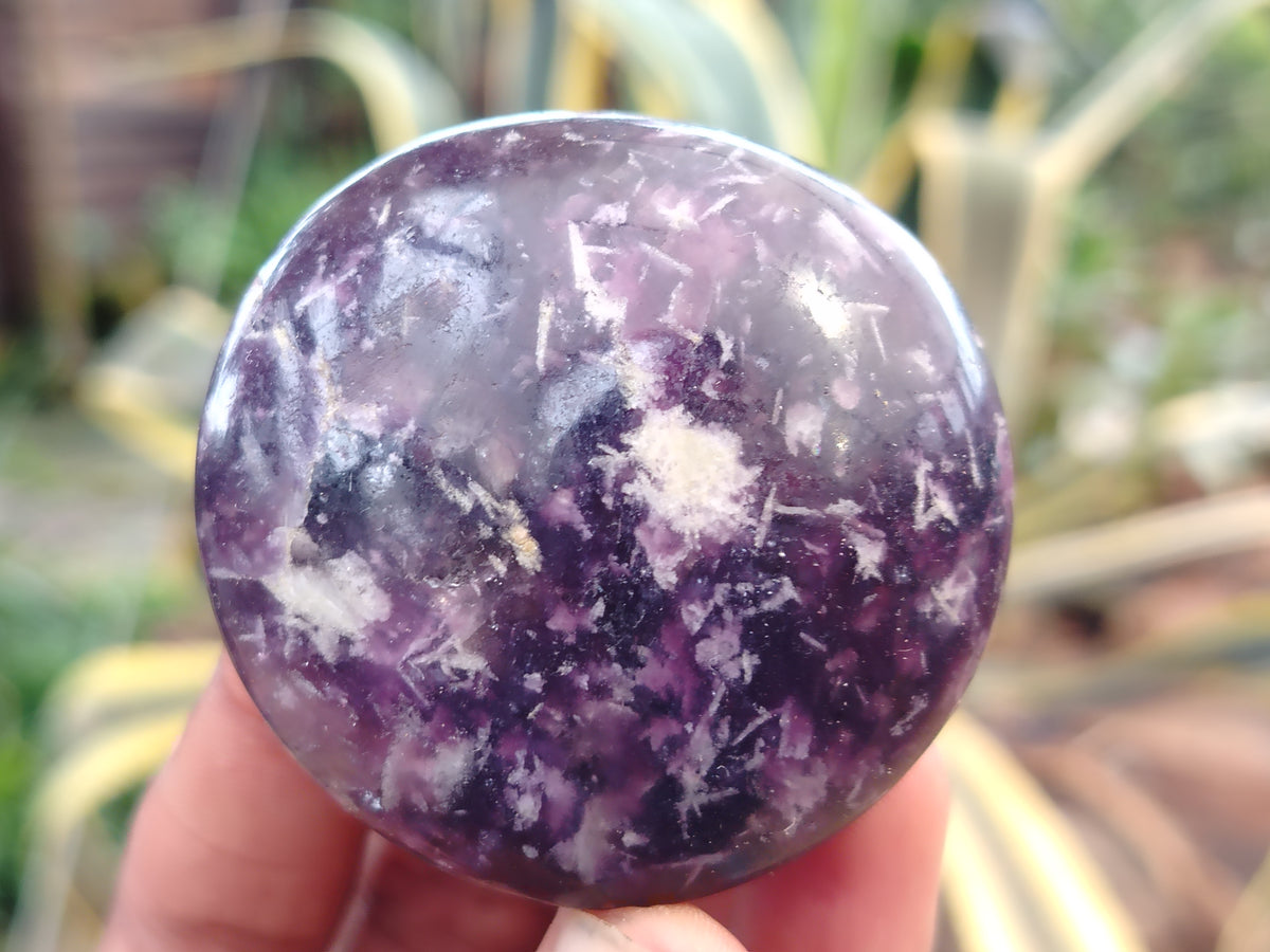 Polished Lepidolite with Pink Rubellite Palm Stones x 24 From Ambatondrazaka, Madagascar - Toprock Gemstones and Minerals 