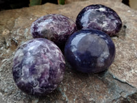 Polished Lepidolite with Pink Rubellite Palm Stones x 24 From Ambatondrazaka, Madagascar - Toprock Gemstones and Minerals 