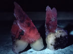 Natural Drusy Quartz Coated Calcite Pseudomorph Specimens x 20 From Alberts Mountain, Lesotho - Toprock Gemstones and Minerals 