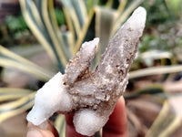 Natural Drusy Quartz Coated Calcite Pseudomorph Specimens x 20 From Alberts Mountain, Lesotho - Toprock Gemstones and Minerals 