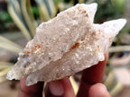 Natural Drusy Quartz Coated Calcite Pseudomorph Specimens x 20 From Alberts Mountain, Lesotho - Toprock Gemstones and Minerals 