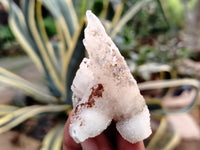 Natural Drusy Quartz Coated Calcite Pseudomorph Specimens x 20 From Alberts Mountain, Lesotho - Toprock Gemstones and Minerals 