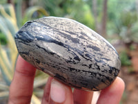 Polished Pharaoh Stone Palm Stones x 6 From Zimbabwe - Toprock Gemstones and Minerals 