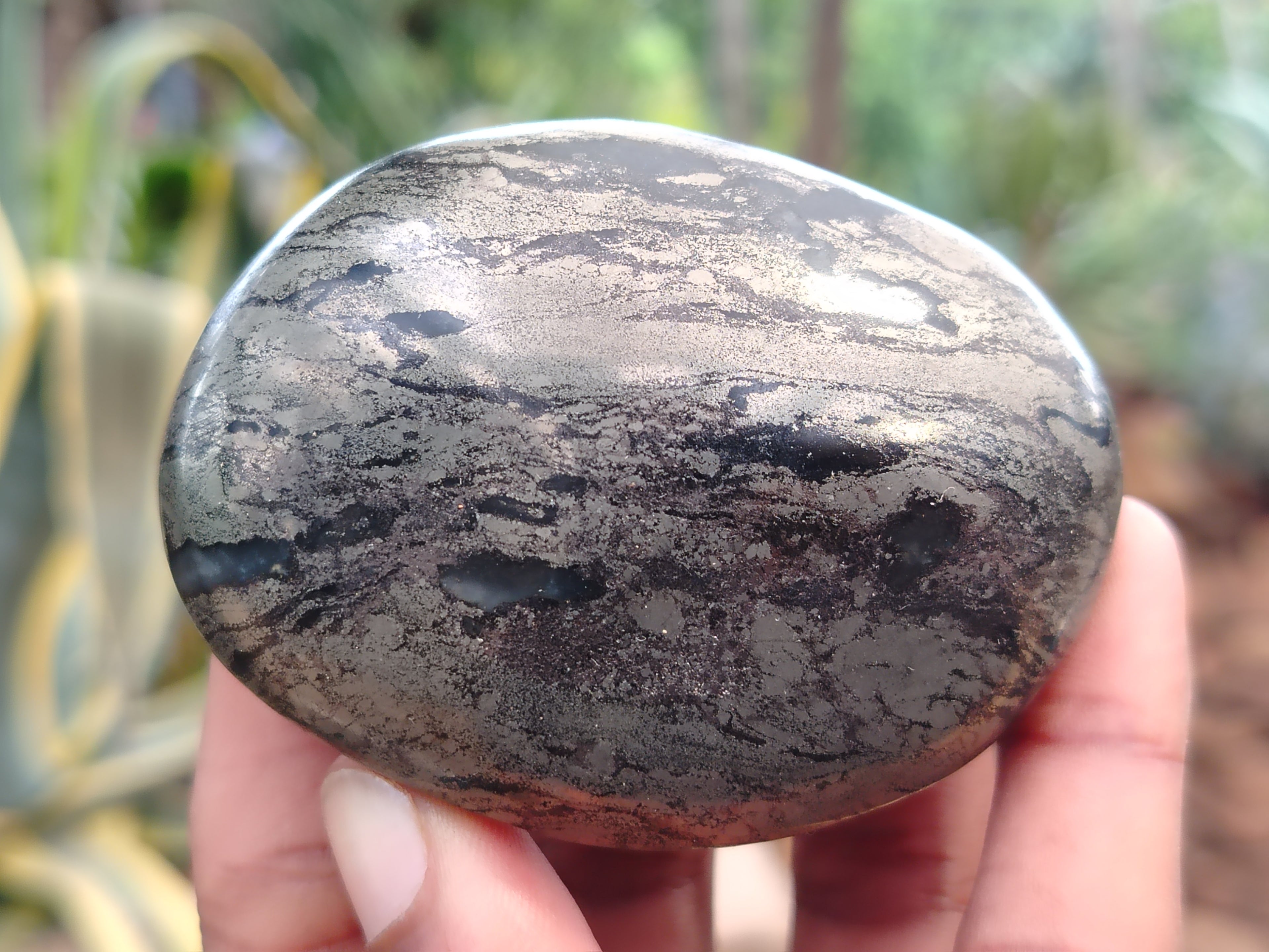 Polished Pharaoh Stone Palm Stones x 6 From Zimbabwe - Toprock Gemstones and Minerals 