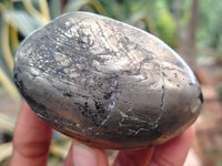 Polished Pharaoh Stone Palm Stones x 6 From Zimbabwe - Toprock Gemstones and Minerals 
