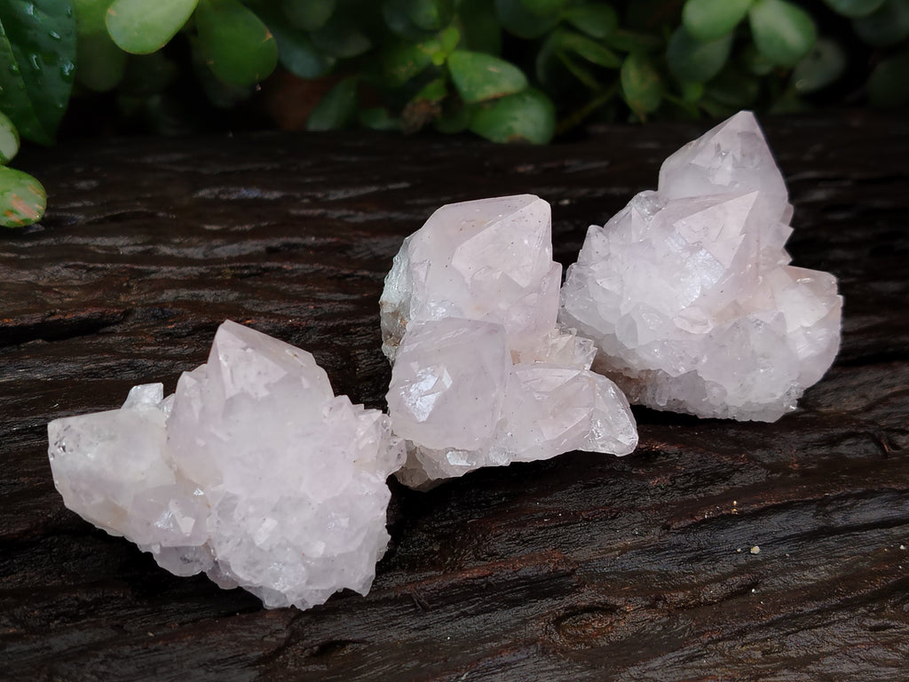 Natural Spirit Quartz Clusters x 12 From Boekenhouthoek, South Africa - Toprock Gemstones and Minerals 