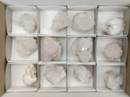 Natural Spirit Quartz Clusters x 12 From Boekenhouthoek, South Africa - Toprock Gemstones and Minerals 