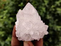 Natural Spirit Quartz Clusters x 12 From Boekenhouthoek, South Africa - Toprock Gemstones and Minerals 