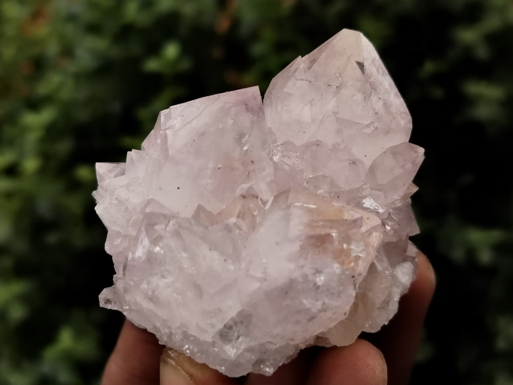Natural Spirit Quartz Clusters x 12 From Boekenhouthoek, South Africa - Toprock Gemstones and Minerals 