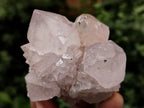 Natural Spirit Quartz Clusters x 12 From Boekenhouthoek, South Africa - Toprock Gemstones and Minerals 