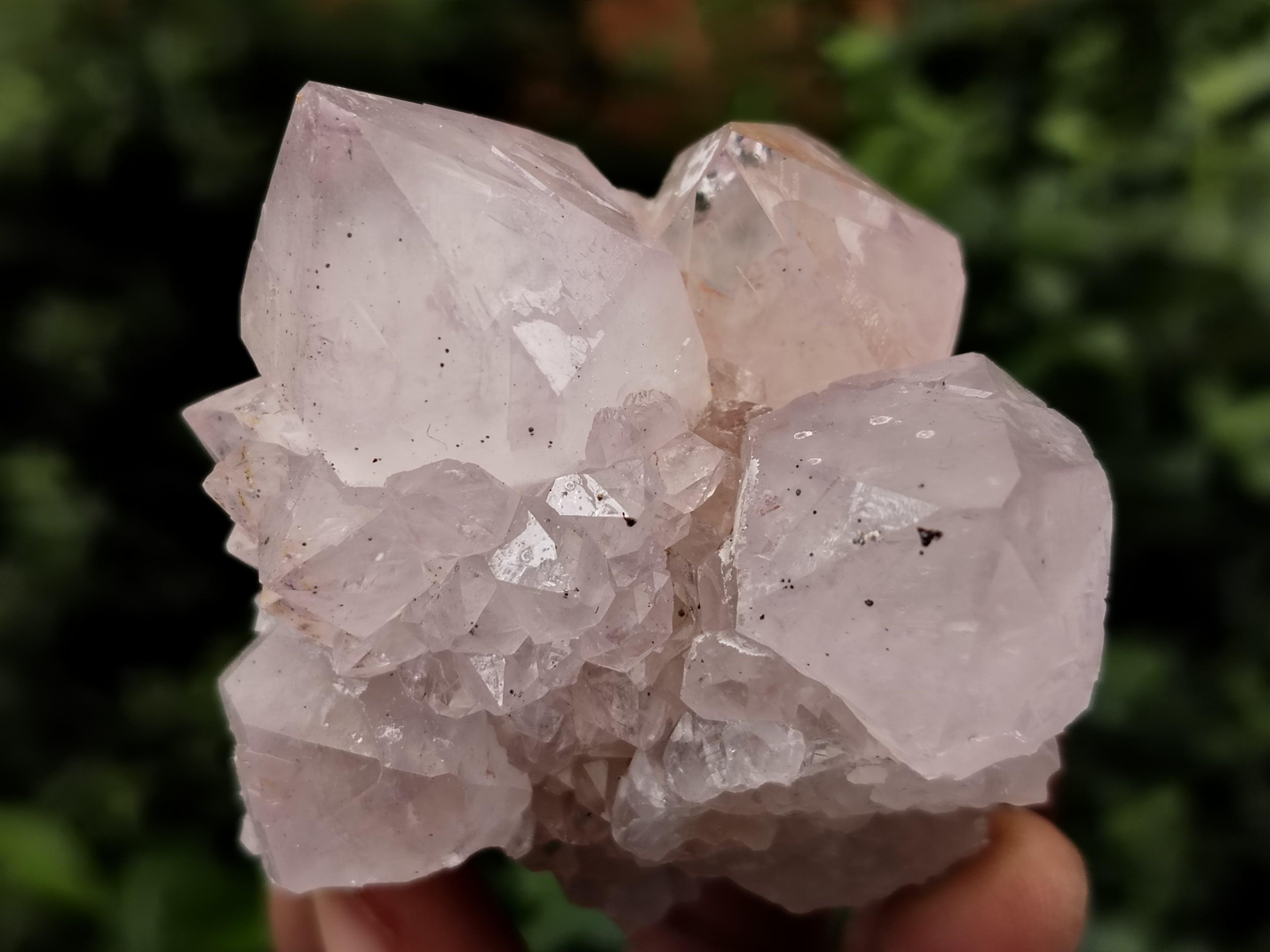 Natural Spirit Quartz Clusters x 12 From Boekenhouthoek, South Africa - Toprock Gemstones and Minerals 