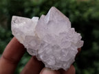 Natural Spirit Quartz Clusters x 12 From Boekenhouthoek, South Africa - Toprock Gemstones and Minerals 