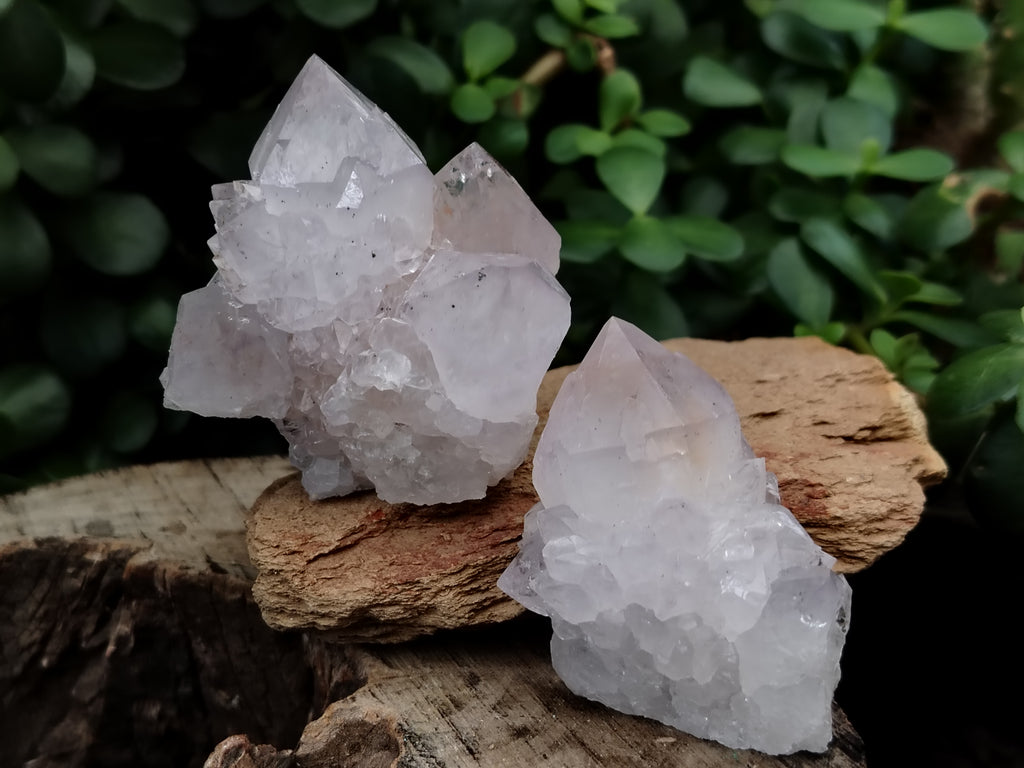 Natural Spirit Quartz Clusters x 12 From Boekenhouthoek, South Africa - Toprock Gemstones and Minerals 