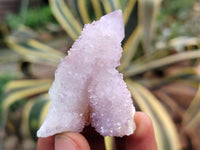 Natural Amethyst Spirit Quartz Clusters x 24 From Boekenhouthoek, South Africa