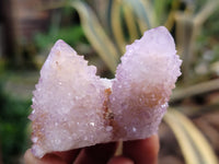 Natural Amethyst Spirit Quartz Clusters x 24 From Boekenhouthoek, South Africa