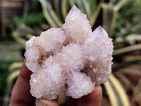 Natural Amethyst Spirit Quartz Clusters x 24 From Boekenhouthoek, South Africa