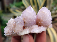 Natural Amethyst Spirit Quartz Clusters x 24 From Boekenhouthoek, South Africa