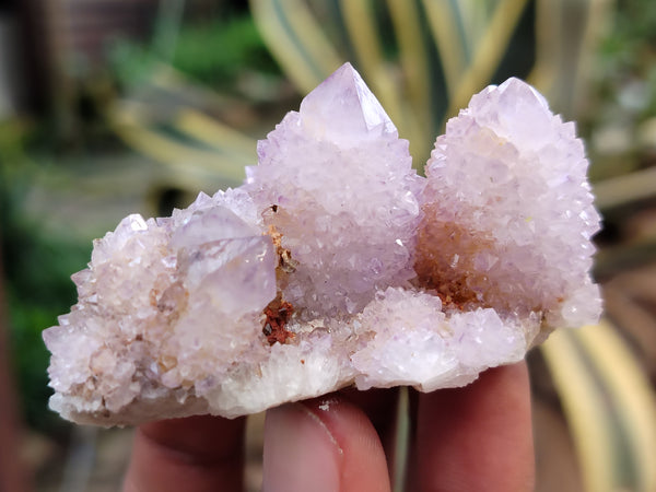 Natural Amethyst Spirit Quartz Clusters x 24 From Boekenhouthoek, South Africa