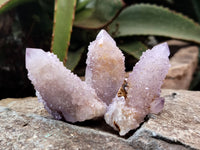 Natural Amethyst Spirit Quartz Clusters x 24 From Boekenhouthoek, South Africa
