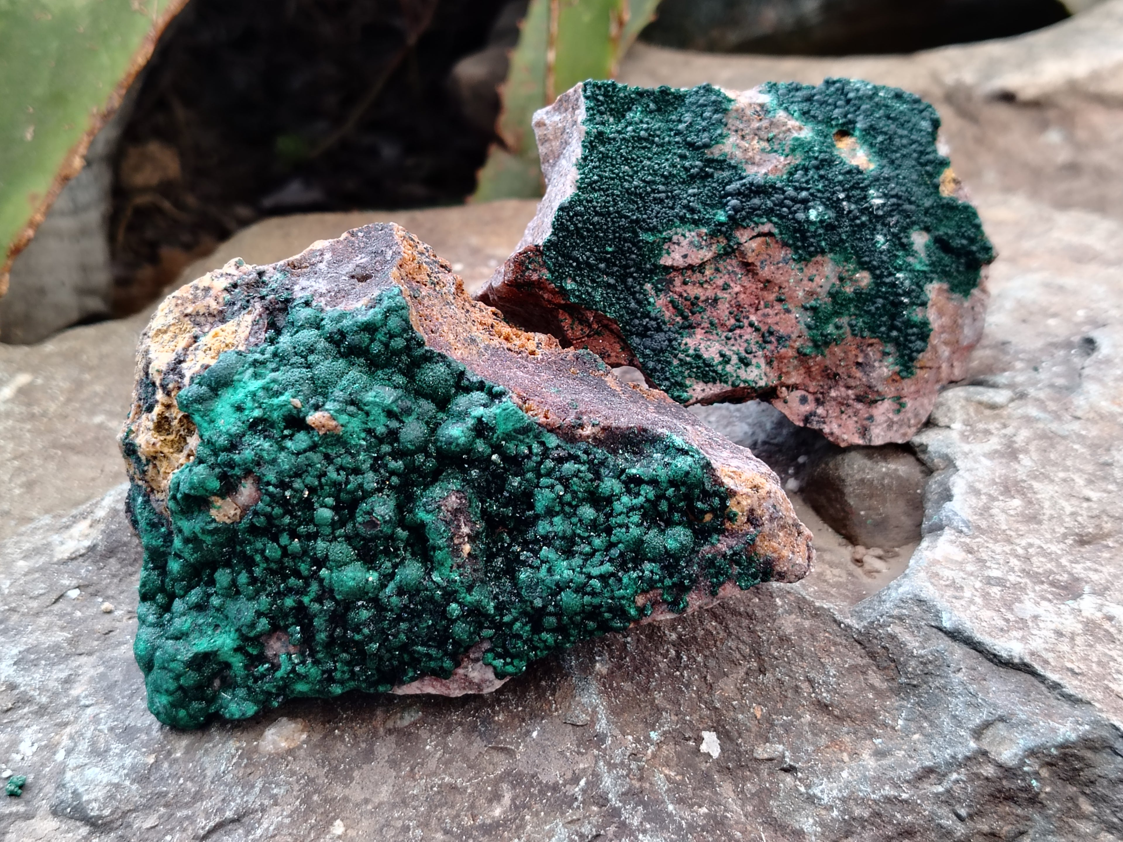 Natural Botryoidal Malachite Specimens x 6 From Congo - Toprock Gemstones and Minerals 