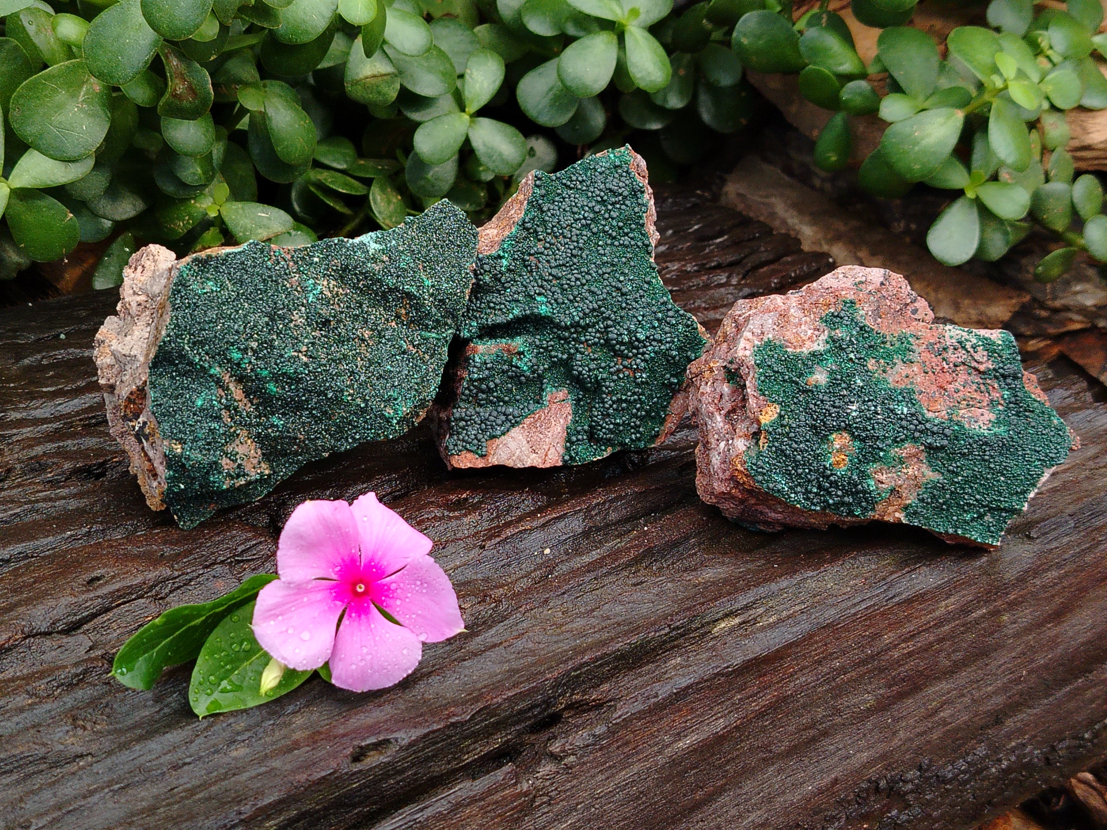 Natural Botryoidal Malachite Specimens x 6 From Congo - Toprock Gemstones and Minerals 