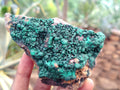 Natural Botryoidal Malachite Specimens x 6 From Congo - Toprock Gemstones and Minerals 
