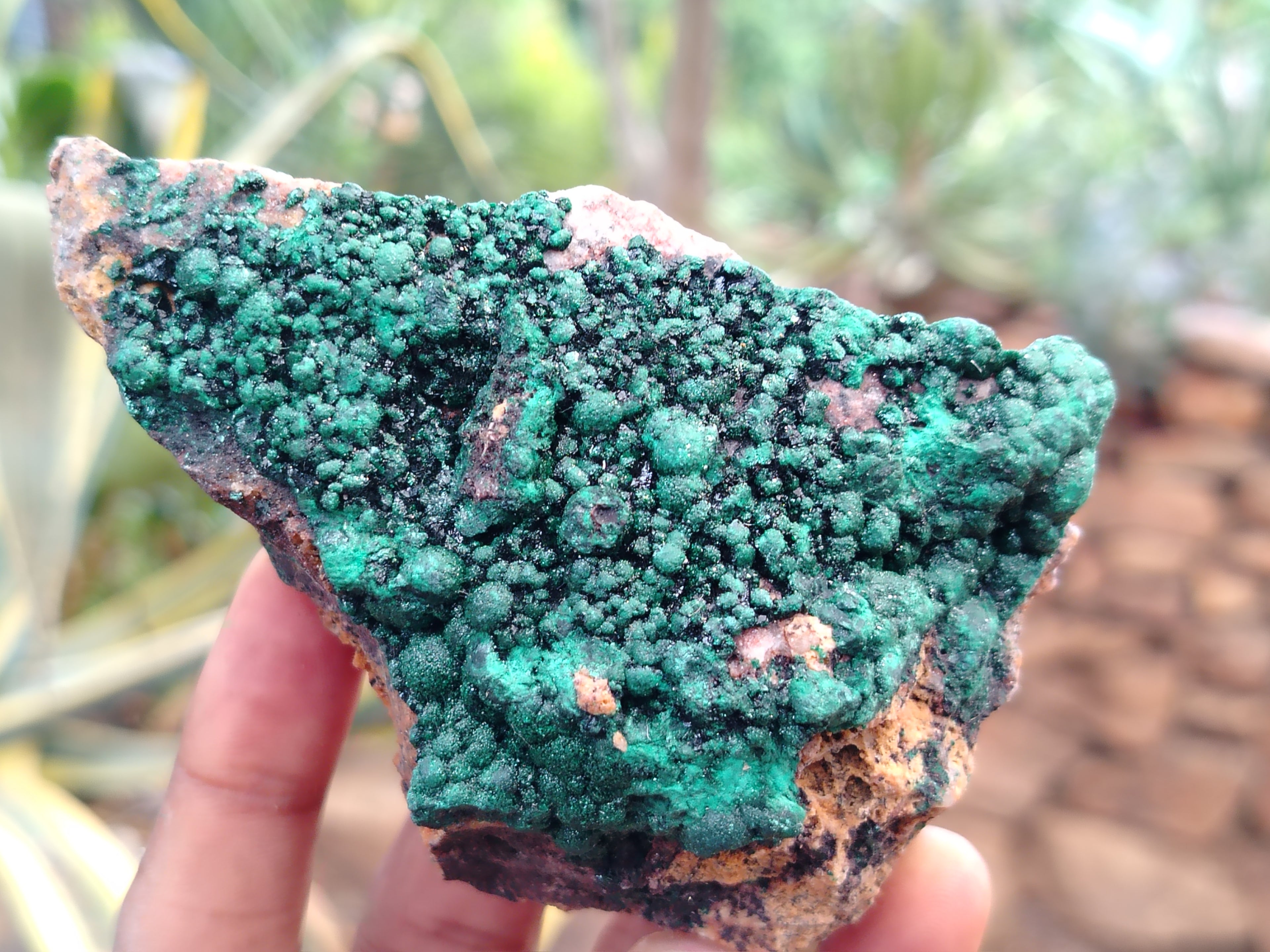 Natural Botryoidal Malachite Specimens x 6 From Congo - Toprock Gemstones and Minerals 