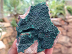Natural Botryoidal Malachite Specimens x 6 From Congo - Toprock Gemstones and Minerals 