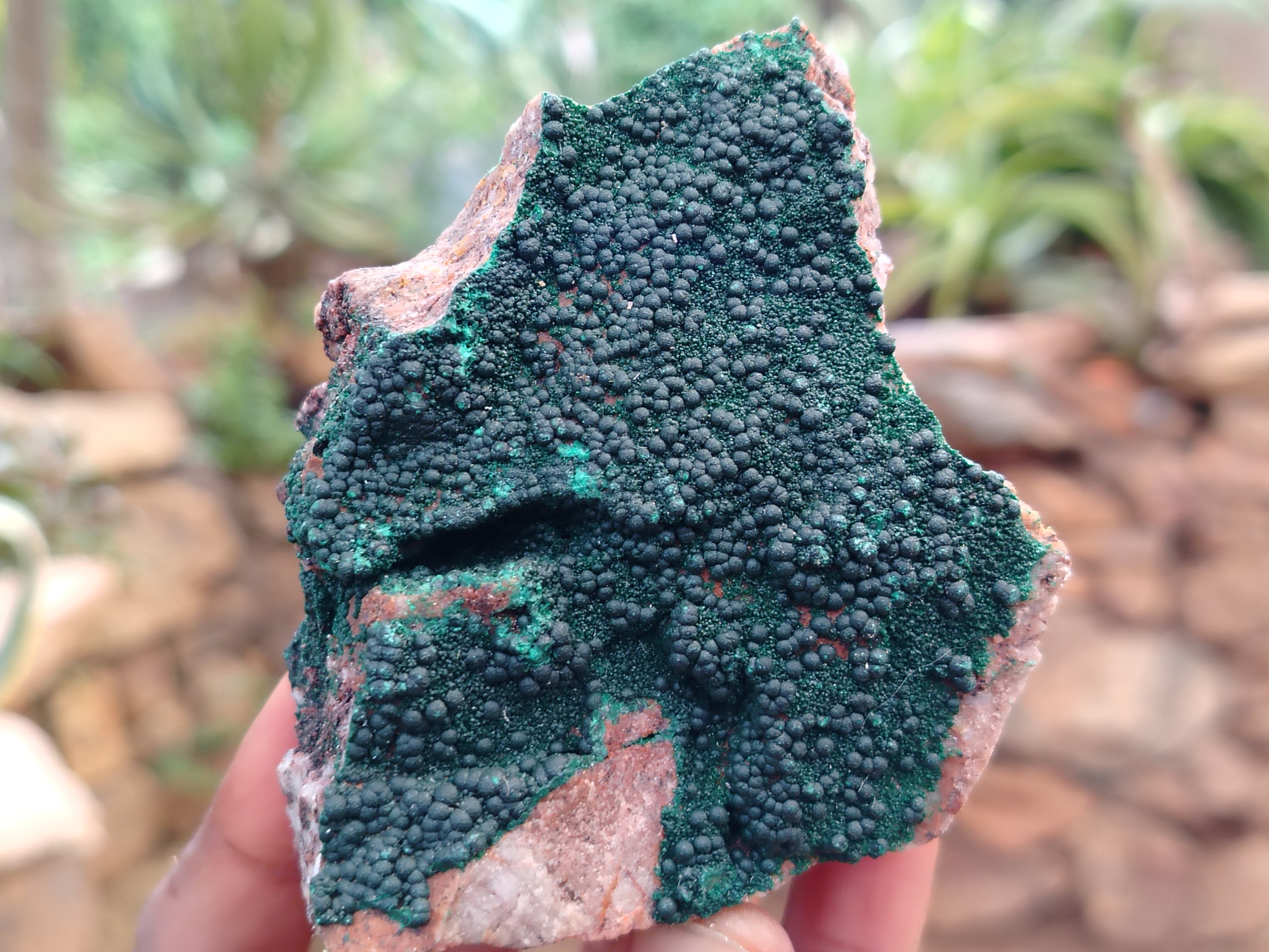 Natural Botryoidal Malachite Specimens x 6 From Congo - Toprock Gemstones and Minerals 