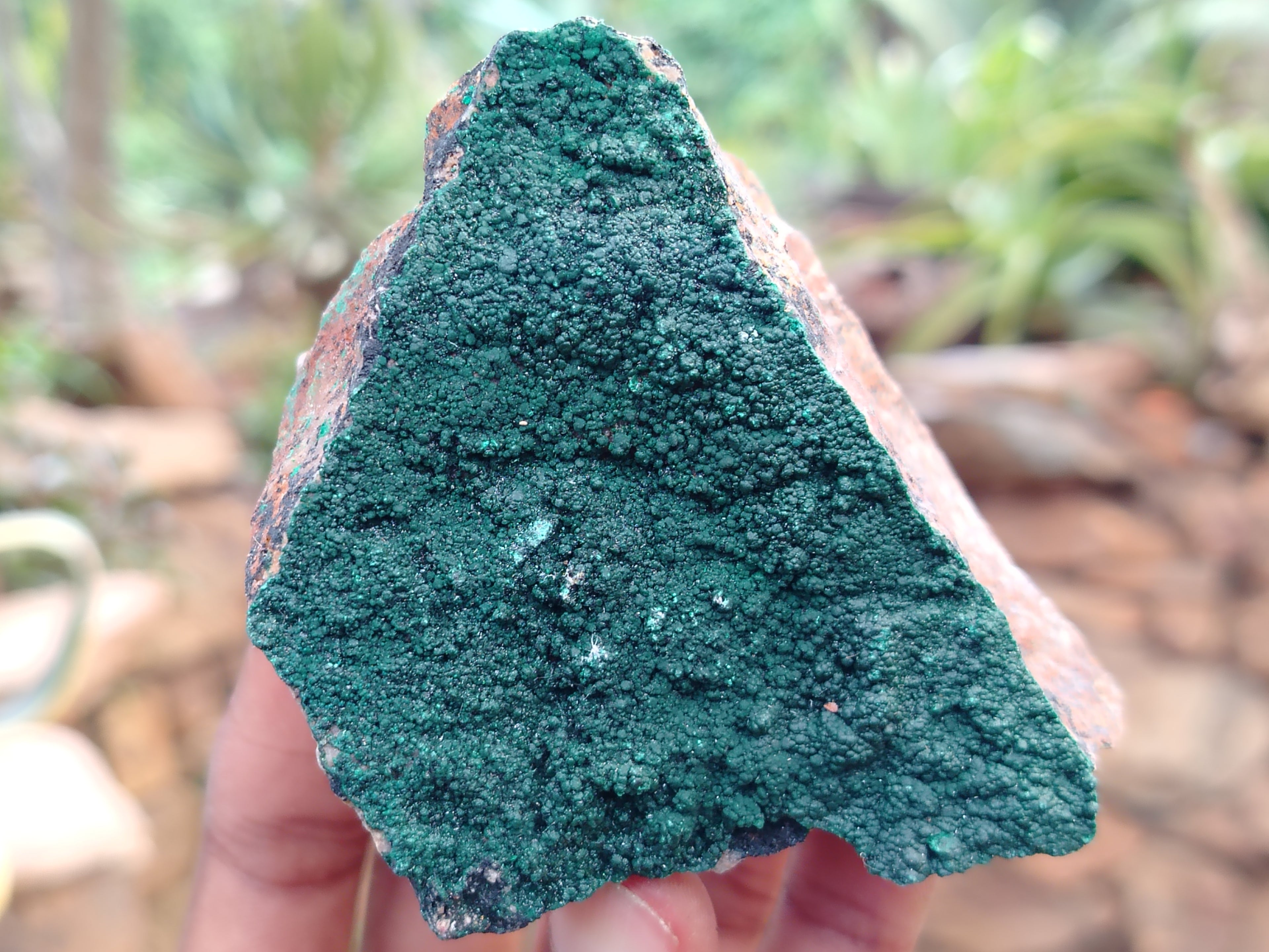 Natural Botryoidal Malachite Specimens x 6 From Congo - Toprock Gemstones and Minerals 