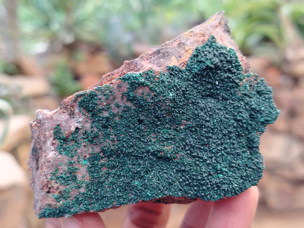 Natural Botryoidal Malachite Specimens x 6 From Congo - Toprock Gemstones and Minerals 