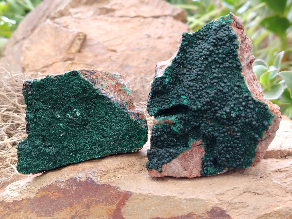 Natural Botryoidal Malachite Specimens x 6 From Congo - Toprock Gemstones and Minerals 