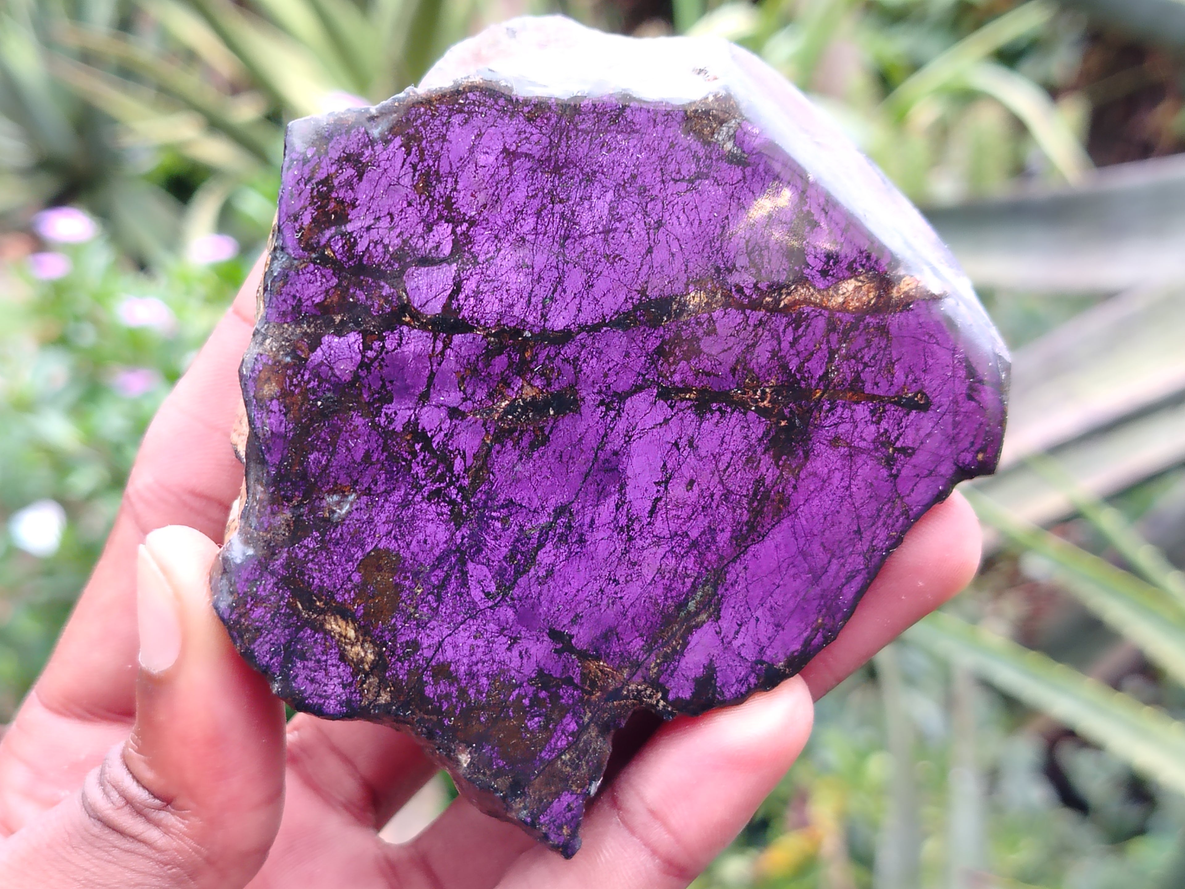 Polished On One Side Purpurite x 6 From Namibia - Toprock Gemstones and Minerals 
