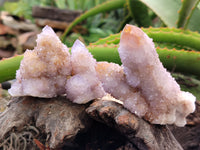 Natural Amethyst Spirit Quartz Clusters x 6 From Boekenhouthoek, South Africa