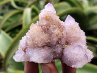 Natural Amethyst Spirit Quartz Clusters x 6 From Boekenhouthoek, South Africa
