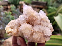 Natural Amethyst Spirit Quartz Clusters x 6 From Boekenhouthoek, South Africa