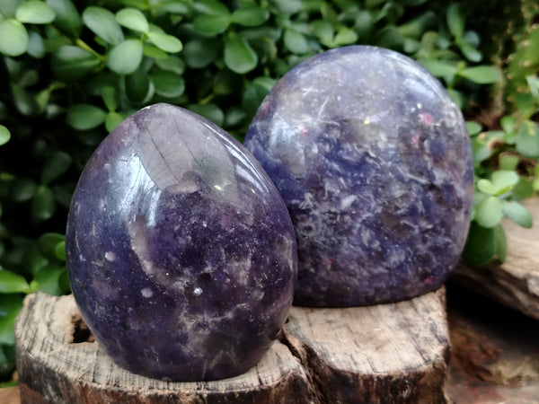 Polished Lepidolite Standing Free Forms x 2 From Ambatondrazaka, Madagascar - Toprock Gemstones and Minerals 