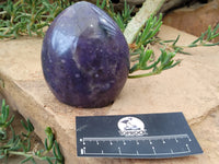 Polished Lepidolite Standing Free Forms x 2 From Ambatondrazaka, Madagascar - Toprock Gemstones and Minerals 