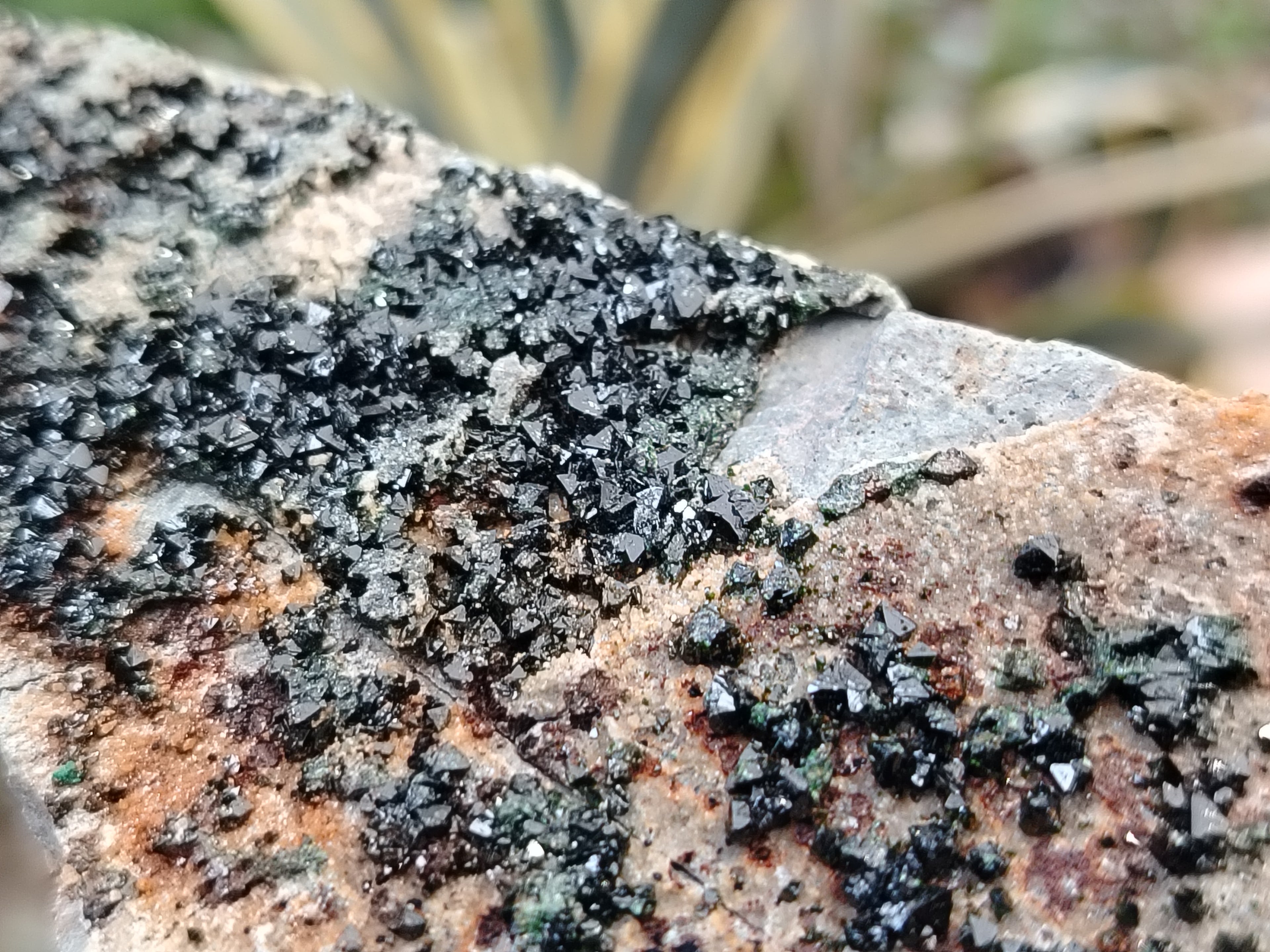 Natural Libethenite Crystals On Dolomite Matrix Specimens x 4 From Shituru, Congo - Toprock Gemstones and Minerals 
